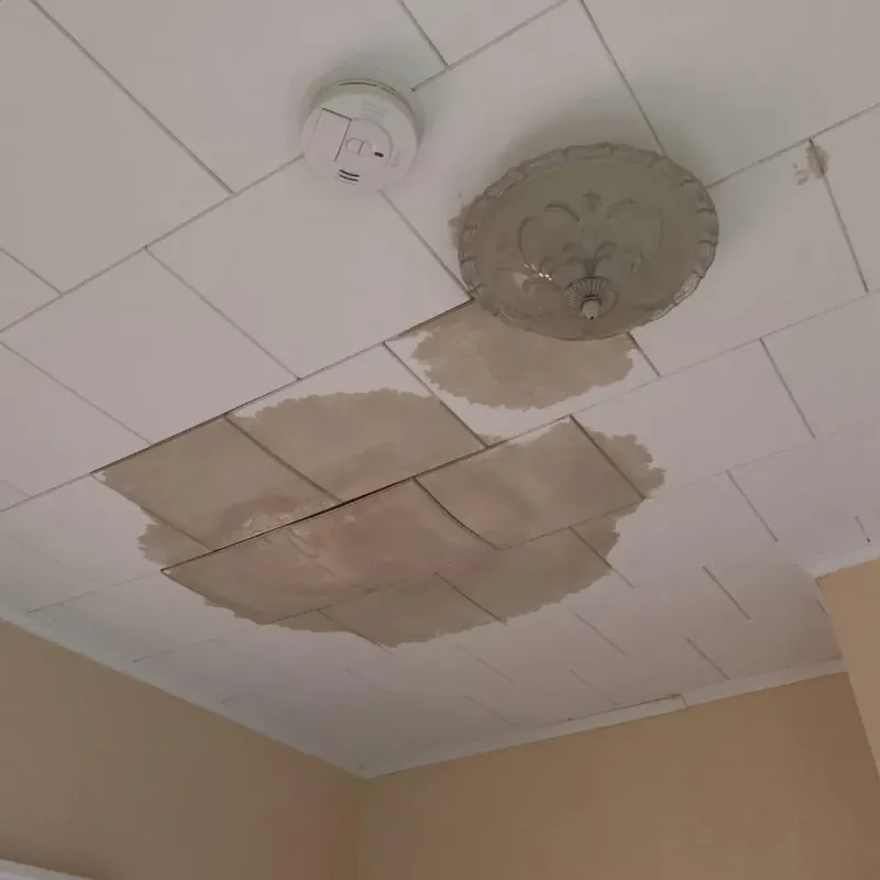 Ceiling Water Damage Repair in Luna Pier, MI