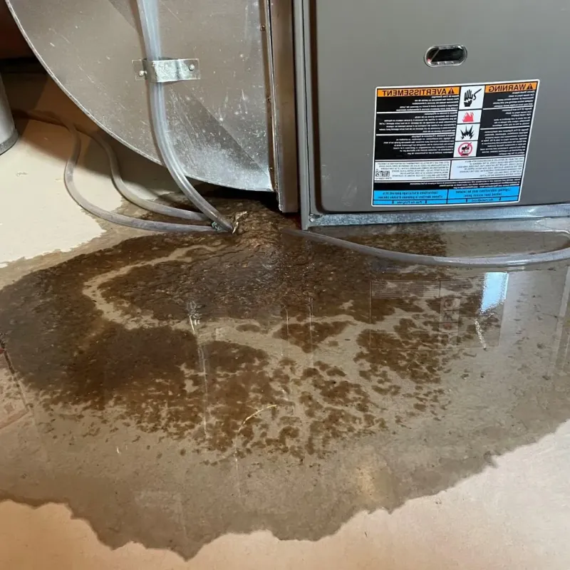 Pipe Burst and Leak Restoration in Luna Pier, MI