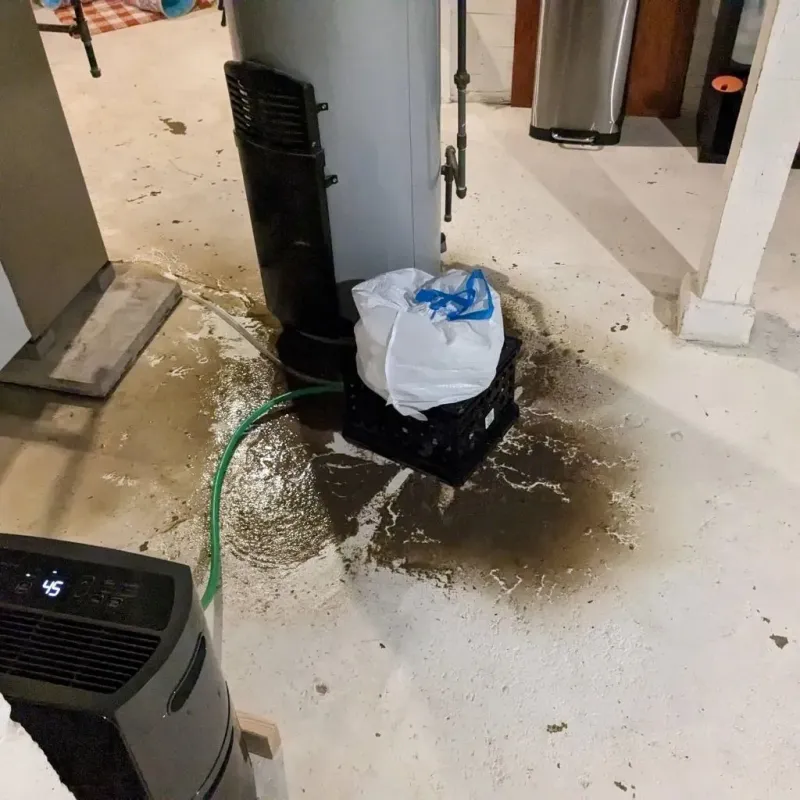 Sewage Backup Cleanup Service in Luna Pier, MI